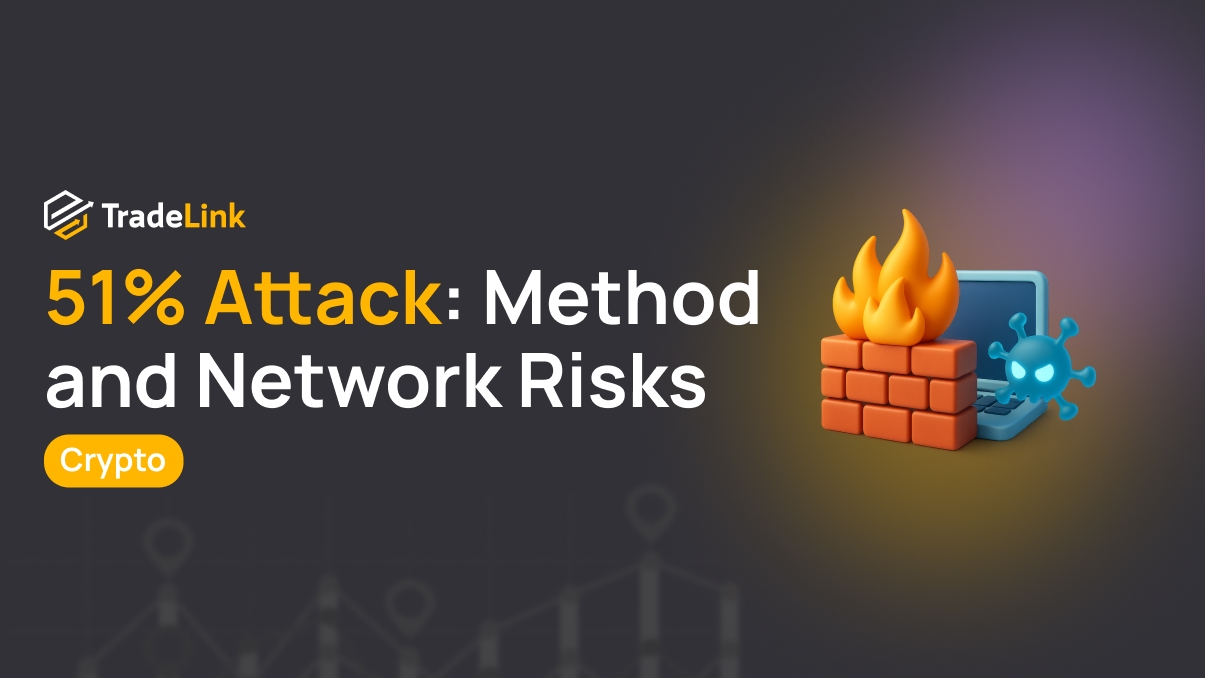 51% Attack: Method and Network Risks