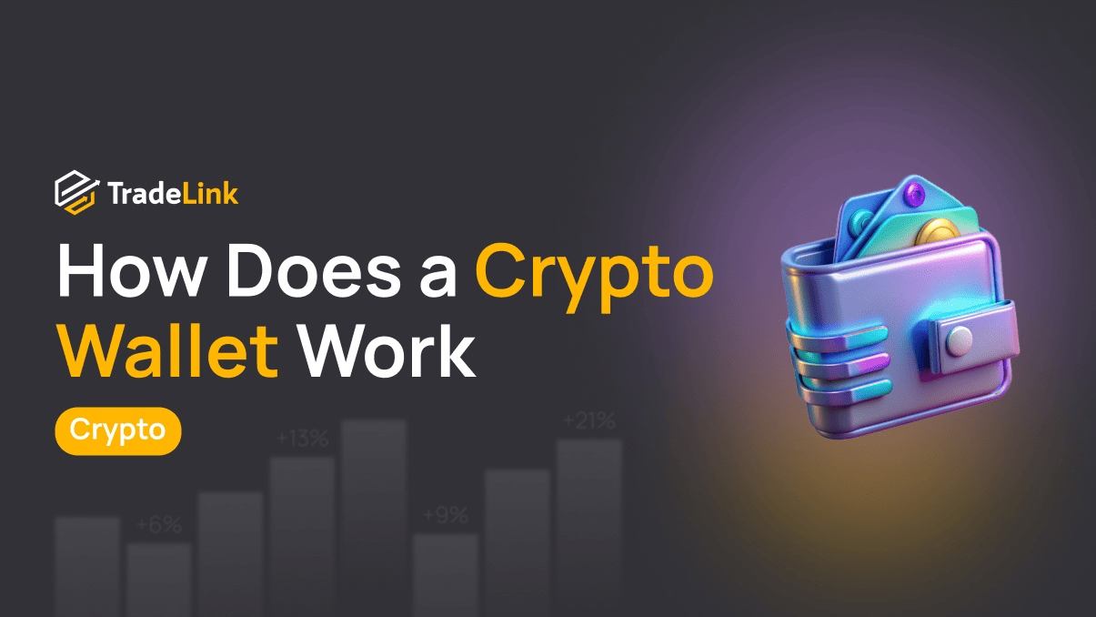 How Does a Crypto Wallet Work: Hot and Cold Wallets, Which to Choose?