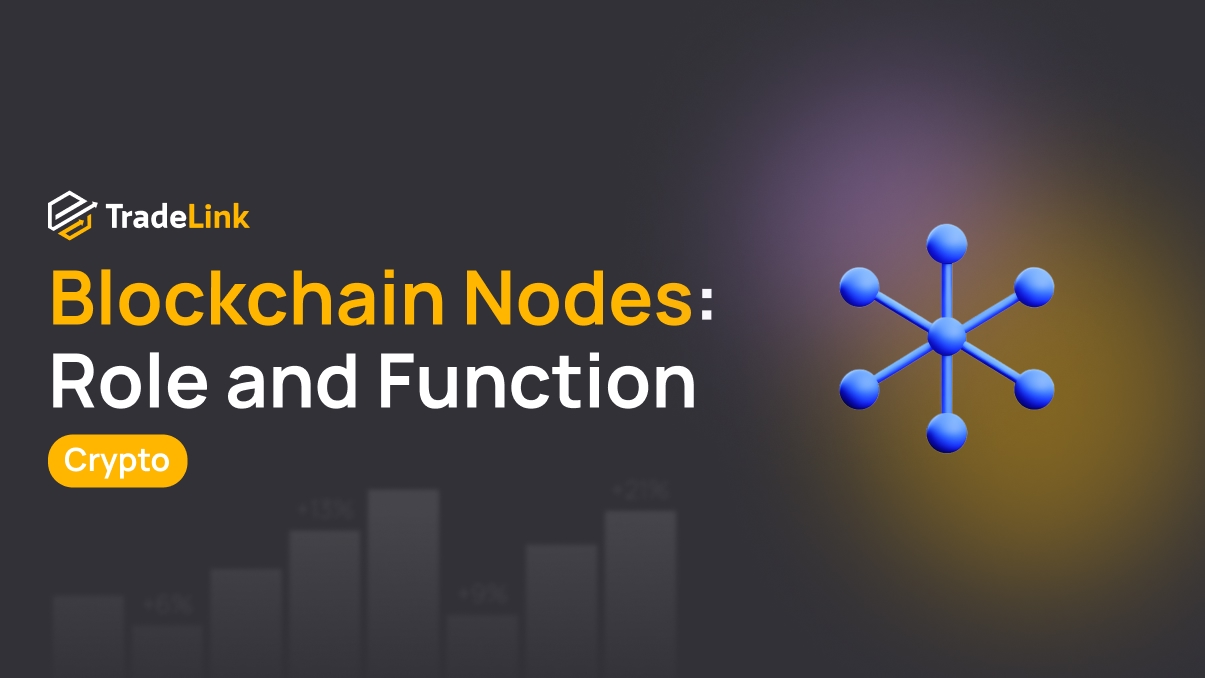 Blockchain Nodes: Role and Function