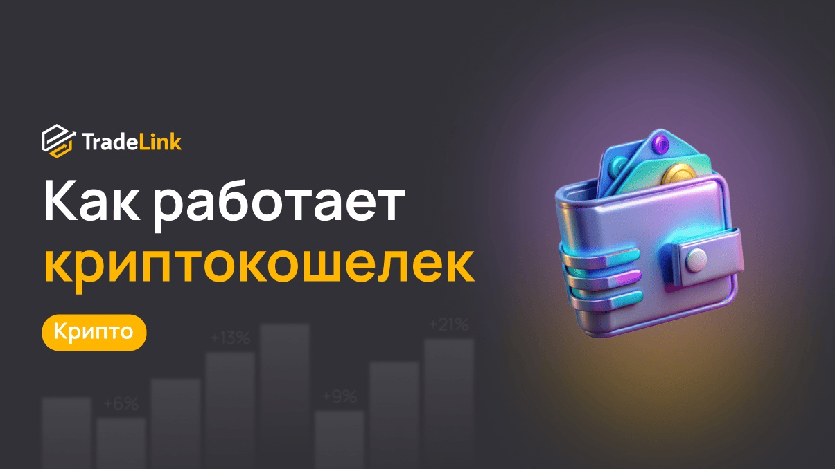 Как работает криптокошелек: горячие и холодные кошельки, что выбрать?
