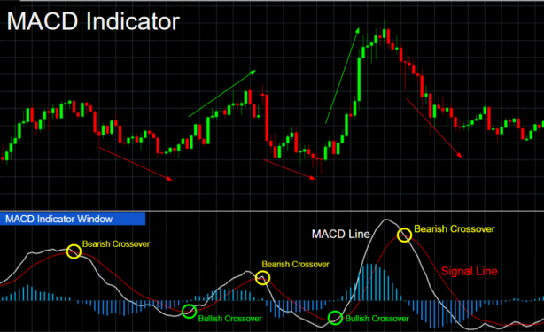 MACD indicator