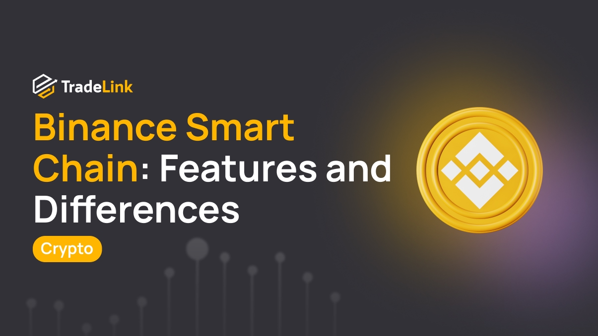 Binance Smart Chain: Features and Differences