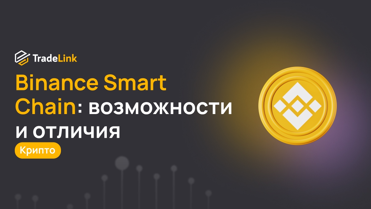 Binance Smart Chain: возможности и отличия