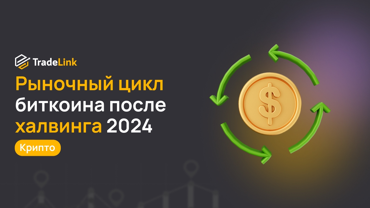 Рыночный цикл биткоина после халвинга 2024: почему 2026 год может отличаться от прошлых циклов
