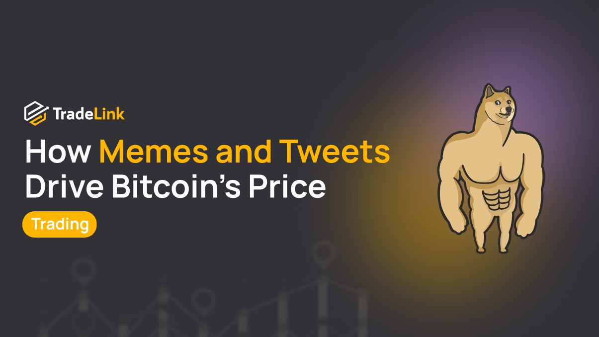How Memes and Tweets Drive Bitcoin’s Price More Than Tech News