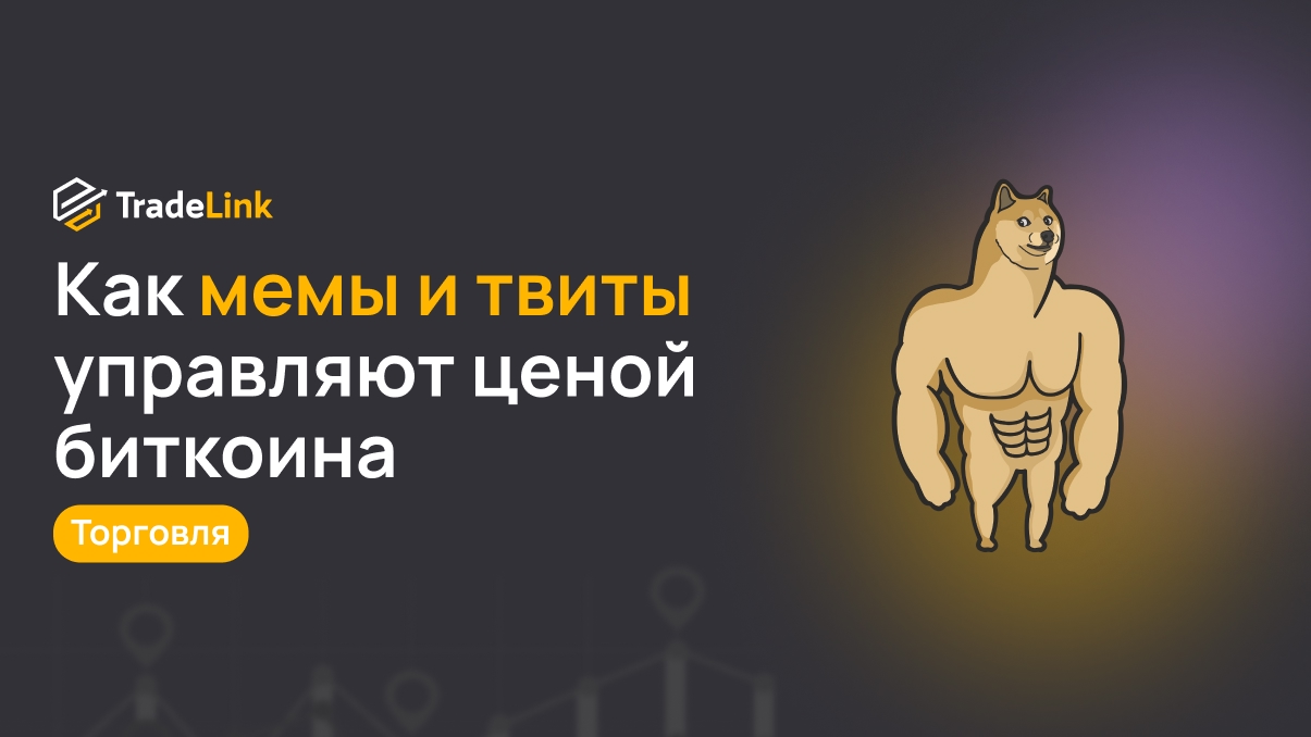 Как мемы и твиты управляют ценой биткоина сильнее, чем новости о технологиях