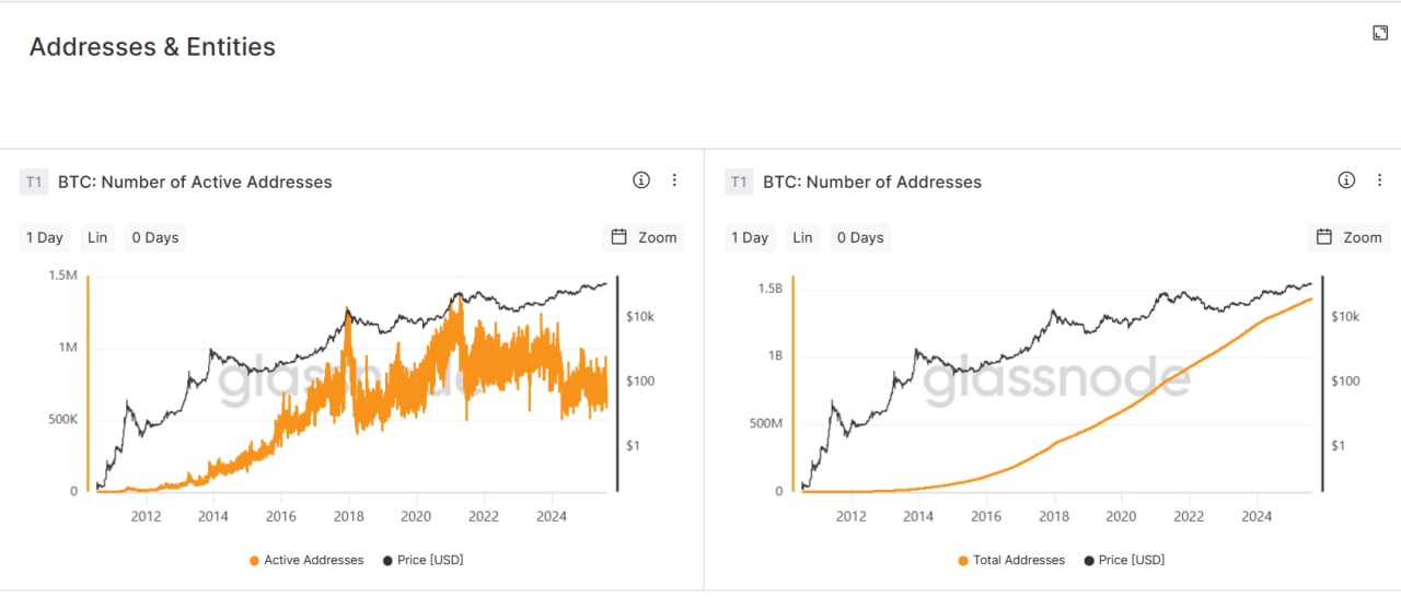glassnode