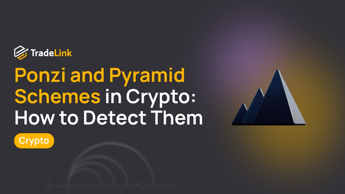 Ponzi and Pyramid Schemes in Crypto: How to Detect Them