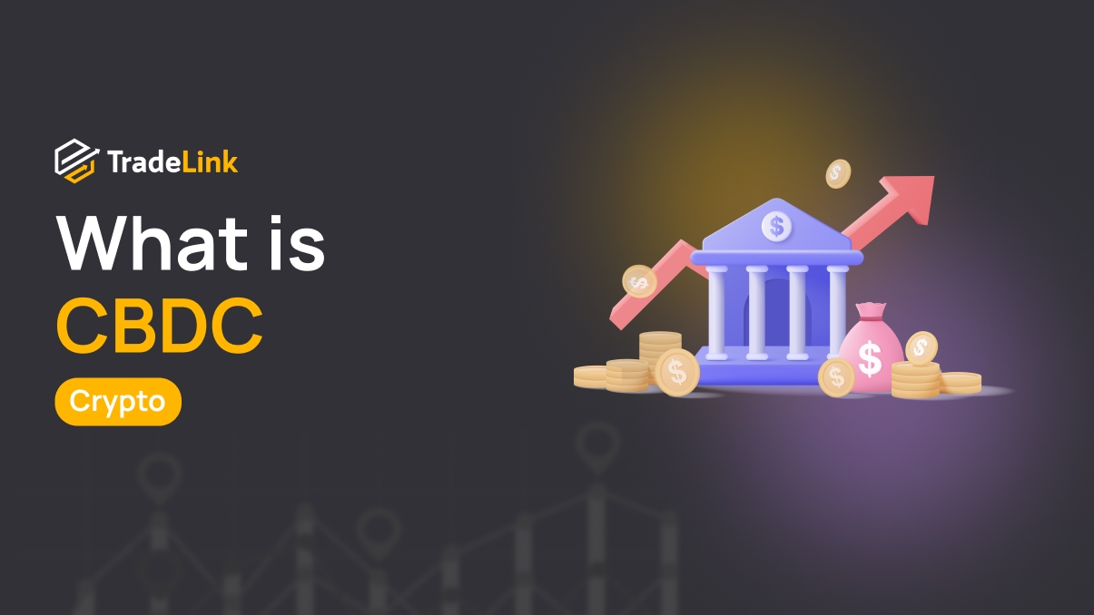 What Are Central Bank Digital Currencies (CBDC)?