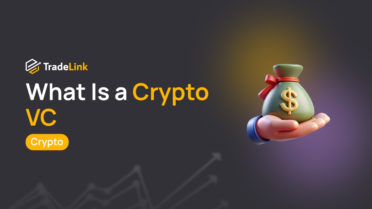 What Is a Crypto VC and How Venture Capital Works in Web3